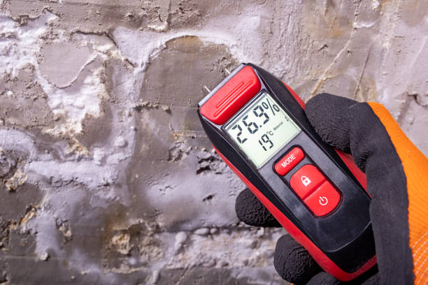 Best Mold Removal Company Near Me  in Long Beach, WA