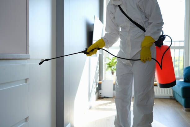 Best Professional Mold Removal  in Long Beach, WA