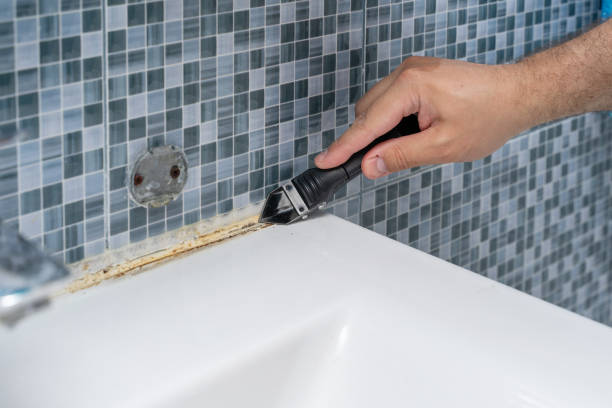 Professional Mold Removal in Long Beach, WA